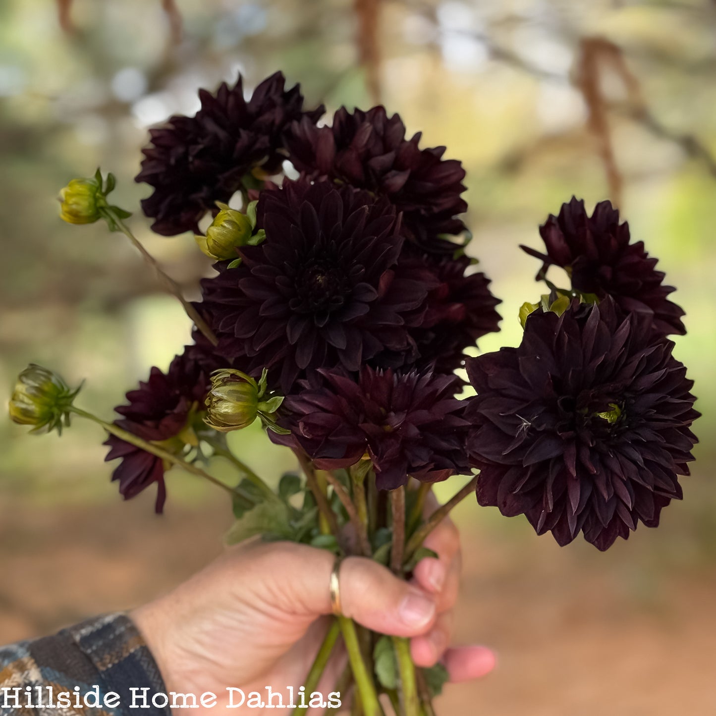 Czarny Charakter Tuber (Limit One)