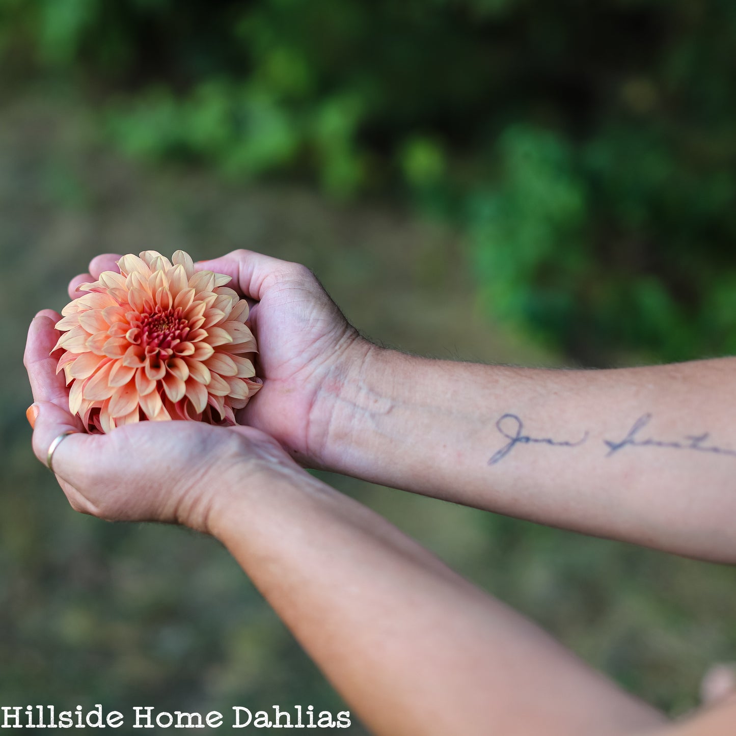 River's Can't Elope  Tuber