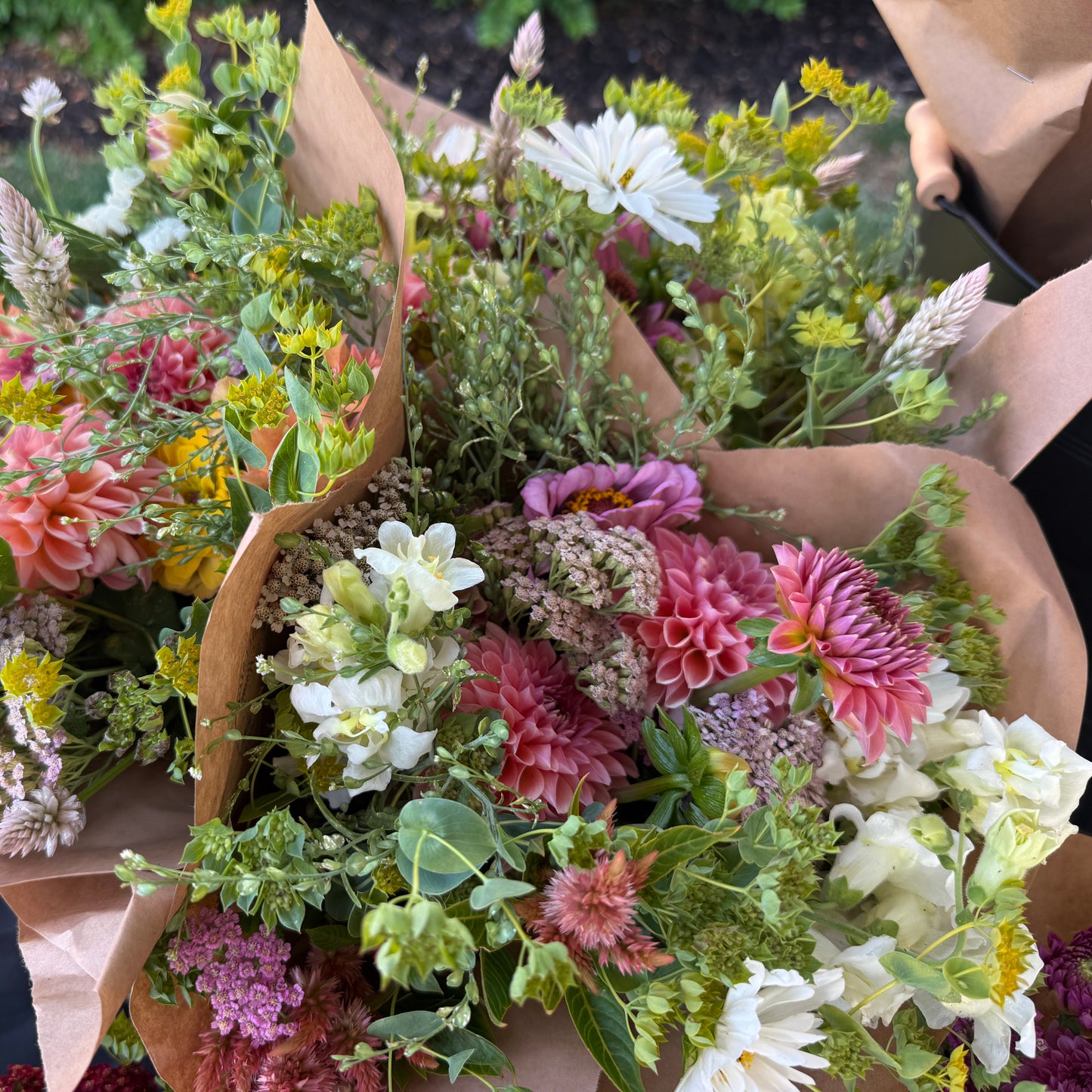 2027 Full Season Flower Subscription- pick up only