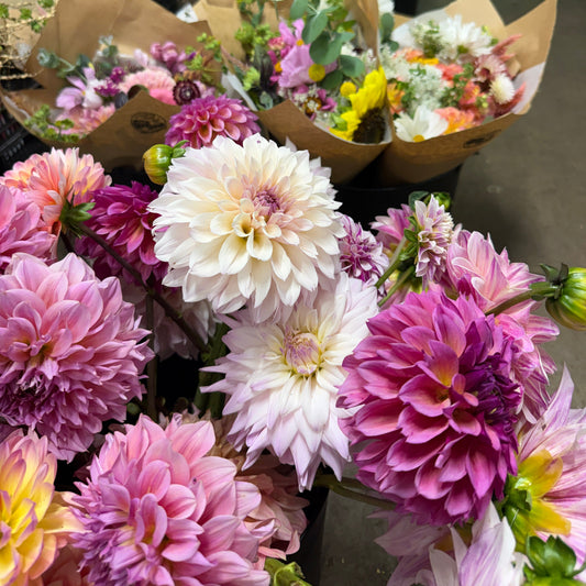 2027 September Flower Subscription- pick up only